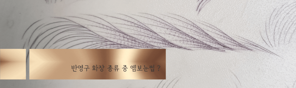 반영구 화장 종류 엠보눈썹