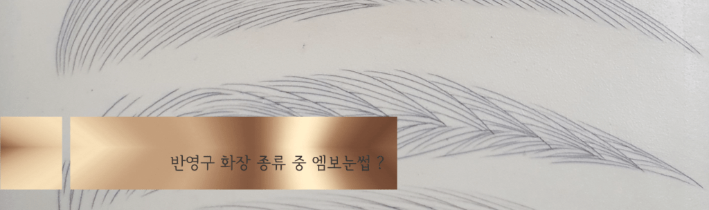 반영구 화장 종류 엠보눈썹1
