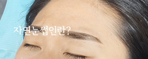 자연 눈썹문신 이란
